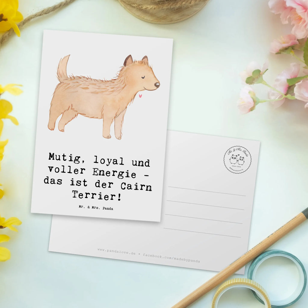 Postkarte Mutiger Cairn Terrier Postkarte, Einladungskarte, Grußkarte, Ansichtskarte, Einladung, Einladungskarten Geburtstag, Karte, Ansichtskarten, Dankeskarte, Geburtstagskarte, Einladung Geburtstag, Geschenkkarte, Hund, Hunderasse, Rassehund, Hundebesitzer, Geschenk, Tierfreund, Schenken, Welpe