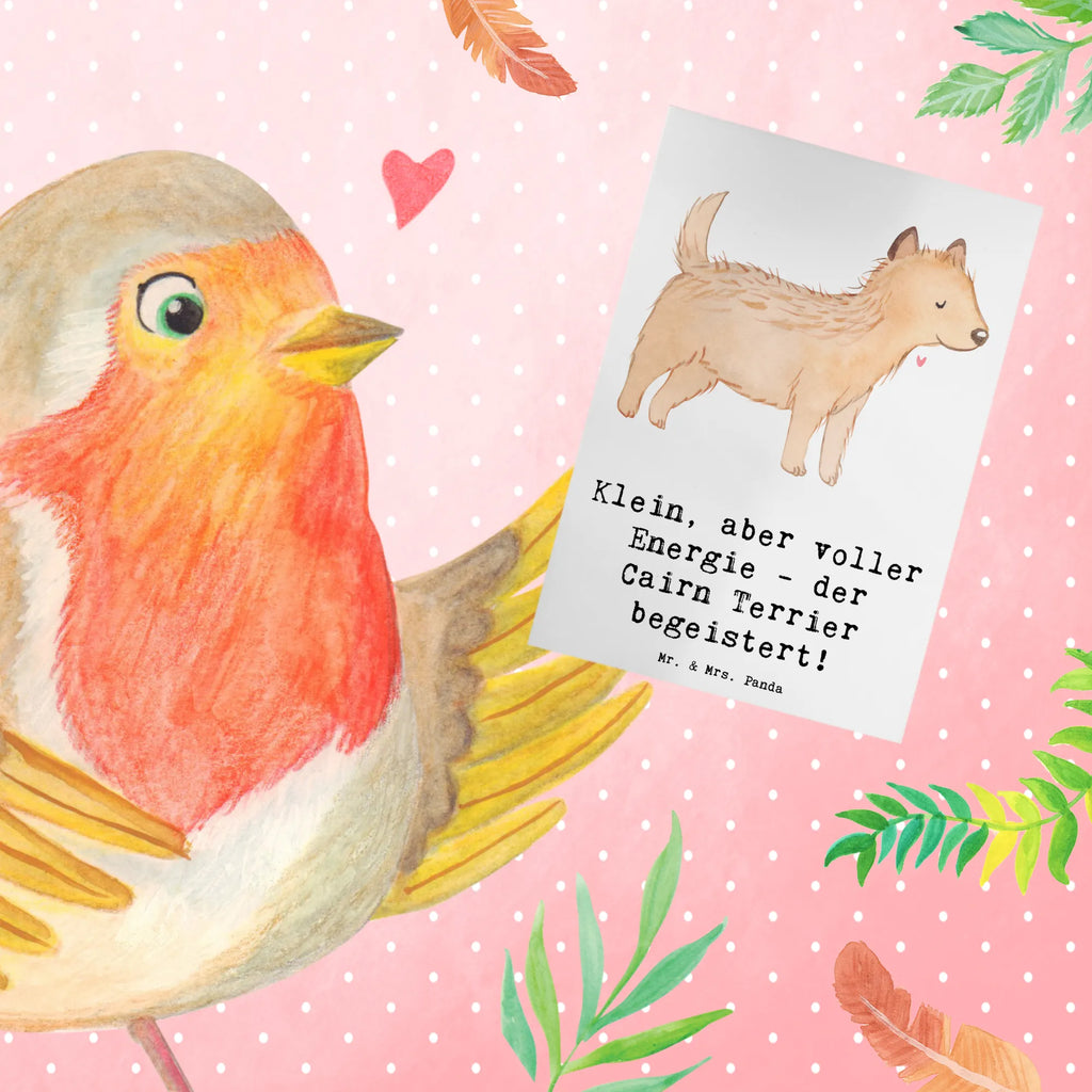 Greetings card Klein, aber voller Energie - der Cairn Terrier begeistert! Karte, Ansichtskarten, Klappkarte, Glückwunschkarte, Hochzeitskarte, Grußkarte, Einladungskarte, Geburtstagskarte, Hund, Hunderasse, Rassehund, Hundebesitzer, Geschenk, Tierfreund, Schenken, Welpe