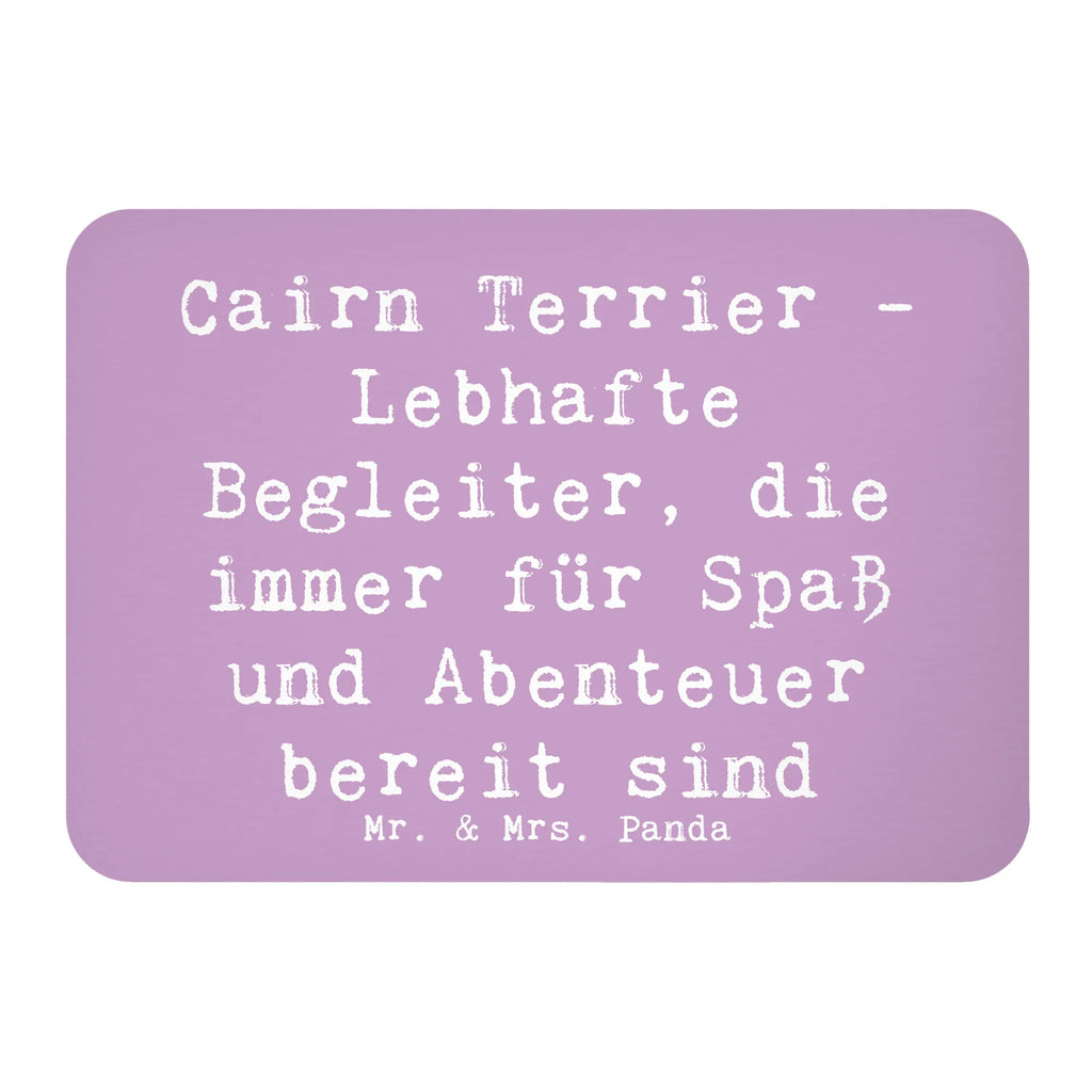 Magnet Spruch Cairn Terrier Begleiter Whiteboard Magnet, Pinnwandmagnet, Dekomagnet, Kühlschrank Dekoration, Souvenir Magnet, Notiz Magnet, Kühlschrankmagnet, Motivmagnete, Hund, Hunderasse, Rassehund, Hundebesitzer, Geschenk, Tierfreund, Schenken, Welpe