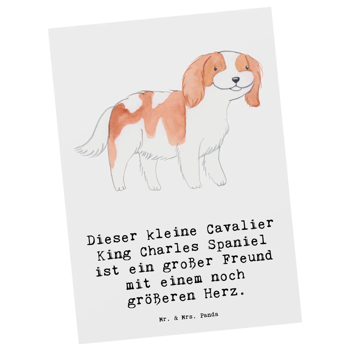 Postkarte Cavalier King Charles Spaniel Grußkarte, Ansichtskarten, Postkarte, Postkarten, Kunstkarten, Ansichtskarte, Motivkarte, Designkarte, Fotokarte, bildkarte, spruchkarte, einzelkarte, kunstkarte, Geschenk, Schenken, Hund, Hunderasse, Rassehund, Hundebesitzer, Tierfreund, Welpe