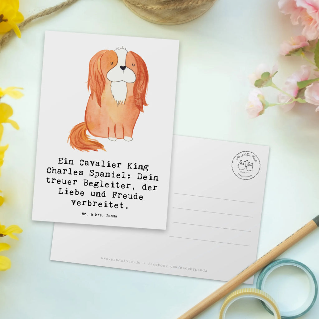 Postcard Ein Cavalier King Charles Spaniel: Dein treuer Begleiter, der Liebe und Freude verbreitet. Geburtstagskarte, Ansichtskarten, Einladungskarte, Karte, Einladung, Grußkarte, Einladungskarten Geburtstag, Postkarte, Dankeskarte, Ansichtskarte, Einladung Geburtstag, Geschenkkarte, Hund, Hunderasse, Rassehund, Hundebesitzer, Geschenk, Tierfreund, Schenken, Welpe