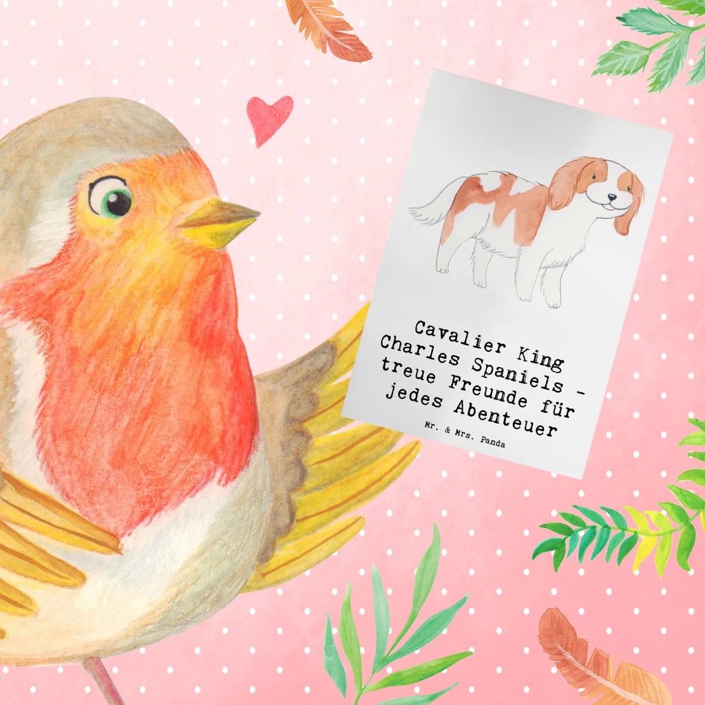 Greetings card Cavalier King Charles Spaniels - treue Freunde für jedes Abenteuer Einladungskarte, Ansichtskarten, Karte, Geburtstagskarte, Glückwunschkarte, Grußkarte, Klappkarte, Hochzeitskarte, Hund, Hunderasse, Rassehund, Hundebesitzer, Geschenk, Tierfreund, Schenken, Welpe