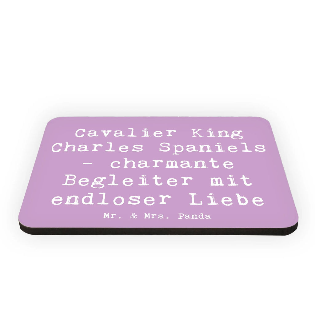 Magnet Saying Cavalier King Charles Spaniels - charmante Begleiter mit endloser Liebe Pinnwandmagnet, Notiz Magnet, Motivmagnete, Dekomagnet, Kühlschrankmagnet, Whiteboard Magnet, Kühlschrank Dekoration, Souvenir Magnet, Hund, Hunderasse, Rassehund, Hundebesitzer, Geschenk, Tierfreund, Schenken, Welpe