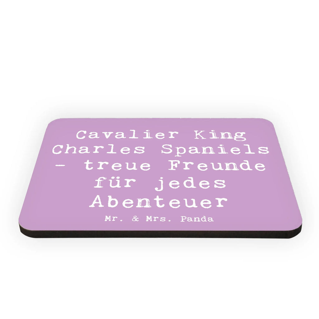 Magnet Saying Cavalier King Charles Spaniels - treue Freunde für jedes Abenteuer Kühlschrankmagnet, Kühlschrank Dekoration, Whiteboard Magnet, Souvenir Magnet, Pinnwandmagnet, Motivmagnete, Dekomagnet, Notiz Magnet, Hund, Hunderasse, Rassehund, Hundebesitzer, Geschenk, Tierfreund, Schenken, Welpe