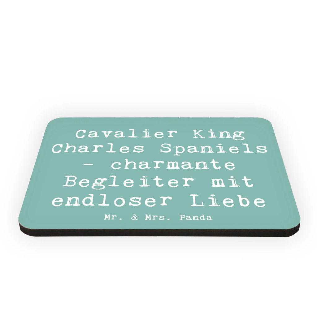 Magnet Saying Cavalier King Charles Spaniels - charmante Begleiter mit endloser Liebe Pinnwandmagnet, Notiz Magnet, Motivmagnete, Dekomagnet, Kühlschrankmagnet, Whiteboard Magnet, Kühlschrank Dekoration, Souvenir Magnet, Hund, Hunderasse, Rassehund, Hundebesitzer, Geschenk, Tierfreund, Schenken, Welpe