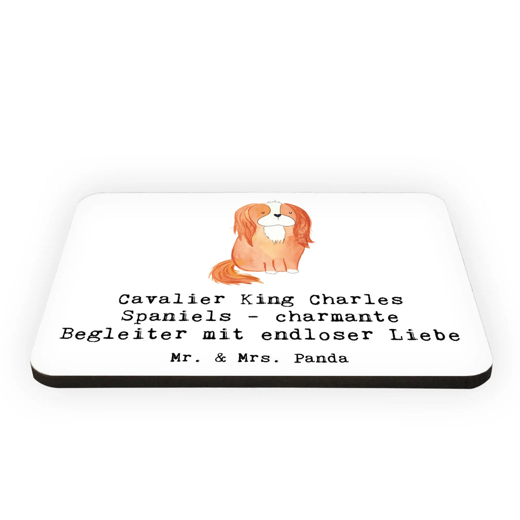 Magnet Cavalier King Charles Spaniels - charmante Begleiter mit endloser Liebe Notiz Magnet, Pinnwandmagnet, Kühlschrankmagnet, Dekomagnet, Kühlschrank Dekoration, Souvenir Magnet, Whiteboard Magnet, Motivmagnete, Hund, Hunderasse, Rassehund, Hundebesitzer, Geschenk, Tierfreund, Schenken, Welpe
