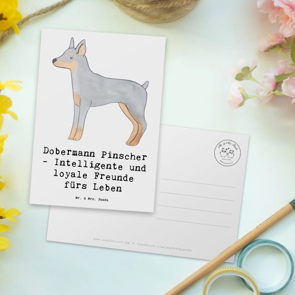 Pocztówka Dobermann Pinscher - Intelligente und loyale Freunde fürs Leben Grußkarte, Karte, Postkarte, Einladungskarte, Ansichtskarten, Einladungskarten Geburtstag, Ansichtskarte, Geschenkkarte, Geburtstagskarte, Einladung Geburtstag, Einladung, Dankeskarte, Hund, Hunderasse, Rassehund, Hundebesitzer, Geschenk, Tierfreund, Schenken, Welpe