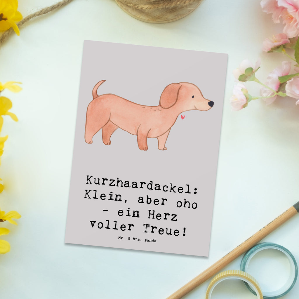 Postcard Kurzhaardackel: Klein, aber oho - ein Herz voller Treue! Geschenkkarte, Karte, Ansichtskarten, Einladungskarte, Geburtstagskarte, Ansichtskarte, Dankeskarte, Postkarte, Einladung, Einladung Geburtstag, Grußkarte, Einladungskarten Geburtstag, Hund, Hunderasse, Rassehund, Hundebesitzer, Geschenk, Tierfreund, Schenken, Welpe