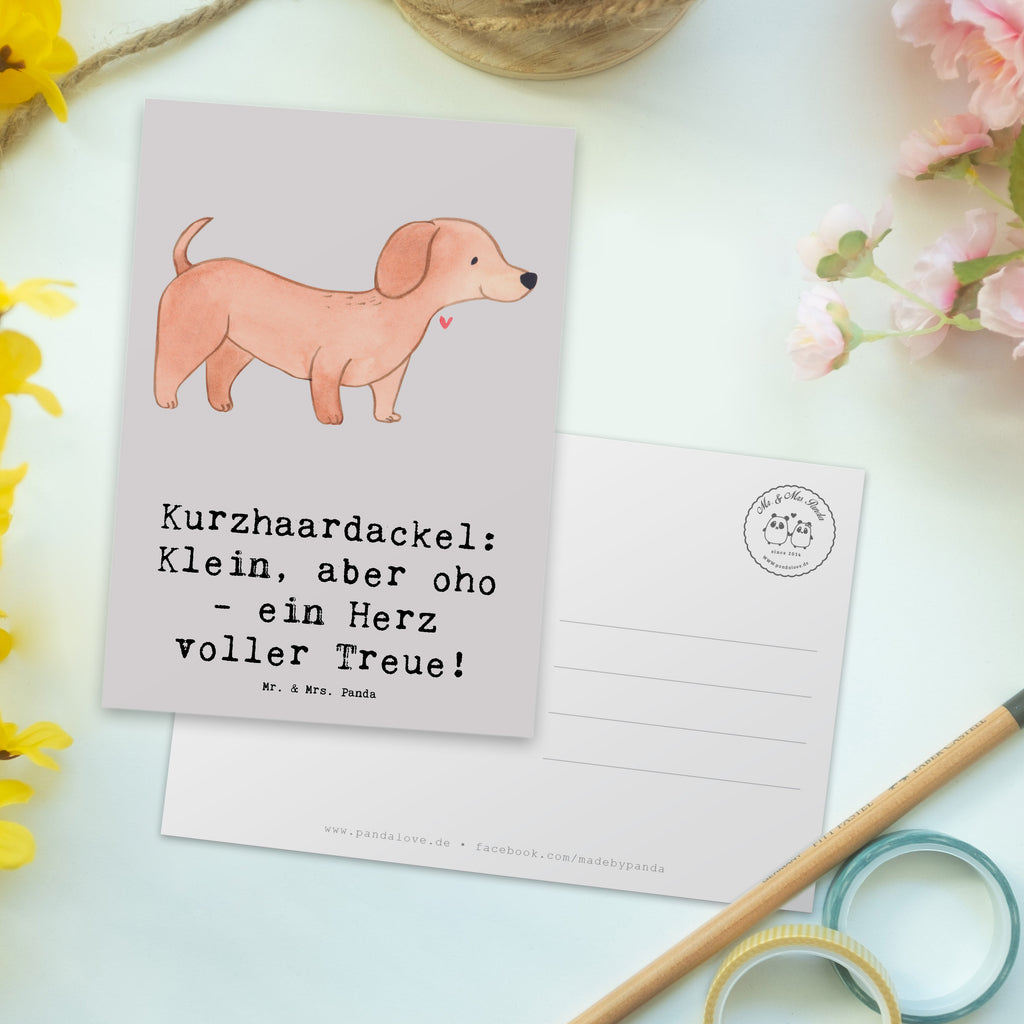 Postcard Kurzhaardackel: Klein, aber oho - ein Herz voller Treue! Geschenkkarte, Karte, Ansichtskarten, Einladungskarte, Geburtstagskarte, Ansichtskarte, Dankeskarte, Postkarte, Einladung, Einladung Geburtstag, Grußkarte, Einladungskarten Geburtstag, Hund, Hunderasse, Rassehund, Hundebesitzer, Geschenk, Tierfreund, Schenken, Welpe
