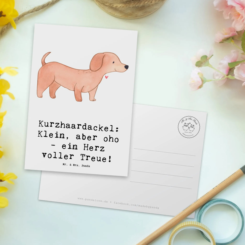 Postcard Kurzhaardackel: Klein, aber oho - ein Herz voller Treue! Geschenkkarte, Karte, Ansichtskarten, Einladungskarte, Geburtstagskarte, Ansichtskarte, Dankeskarte, Postkarte, Einladung, Einladung Geburtstag, Grußkarte, Einladungskarten Geburtstag, Hund, Hunderasse, Rassehund, Hundebesitzer, Geschenk, Tierfreund, Schenken, Welpe