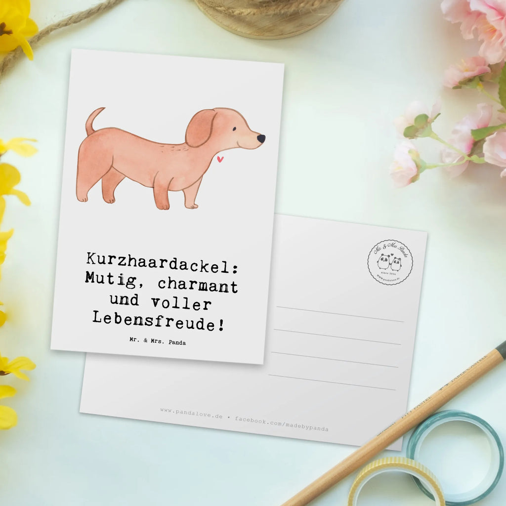 Postkarte Mutiger Dackel Ansichtskarten, Einladungskarten Geburtstag, Einladung Geburtstag, Dankeskarte, Grußkarte, Postkarte, Karte, Geschenkkarte, Einladungskarte, Geburtstagskarte, Ansichtskarte, Einladung, Hund, Hunderasse, Rassehund, Hundebesitzer, Geschenk, Tierfreund, Schenken, Welpe