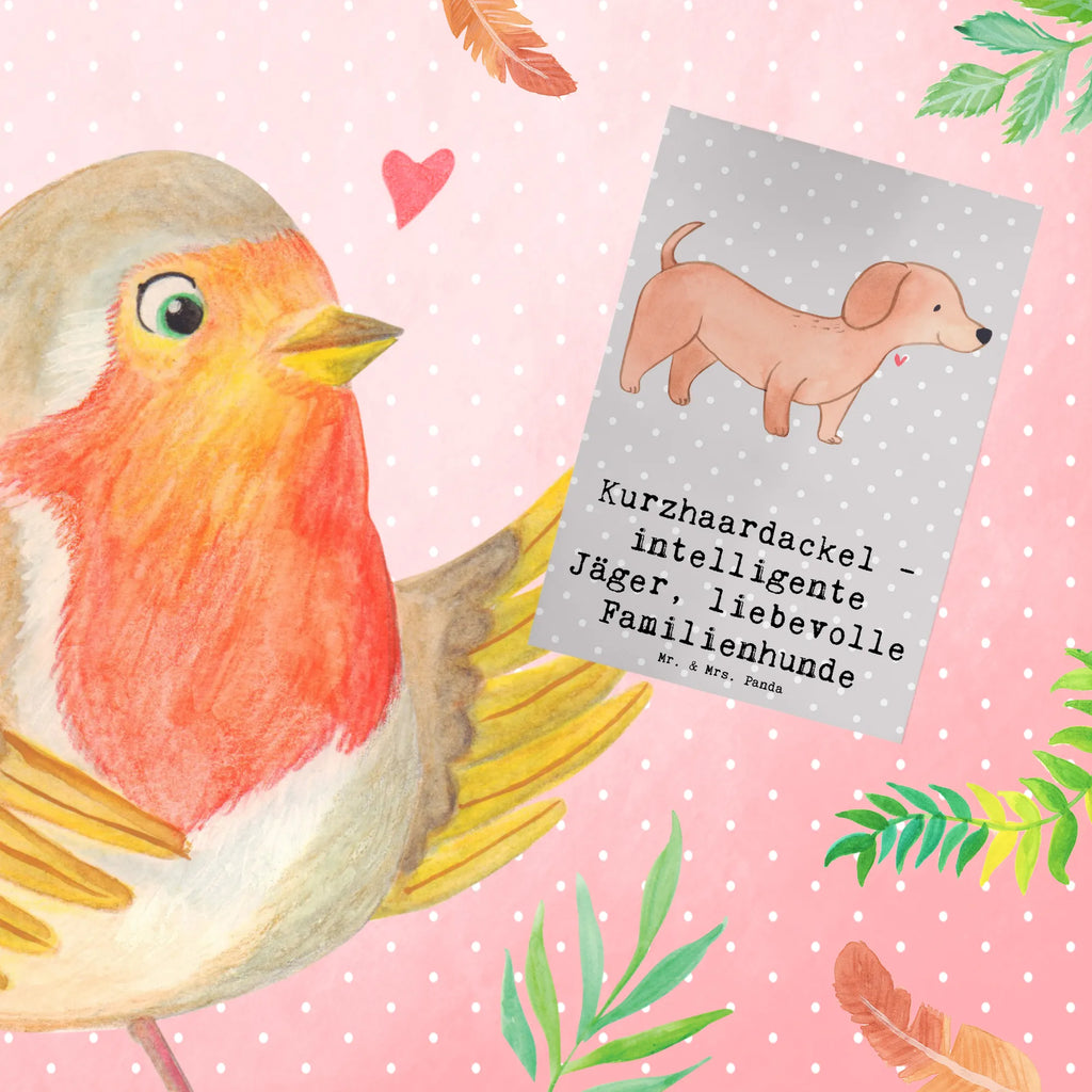 Greetings card Kurzhaardackel - intelligente Jäger, liebevolle Familienhunde Einladungskarte, Karte, Grußkarte, Geburtstagskarte, Ansichtskarten, Hochzeitskarte, Klappkarte, Glückwunschkarte, Hund, Hunderasse, Rassehund, Hundebesitzer, Geschenk, Tierfreund, Schenken, Welpe