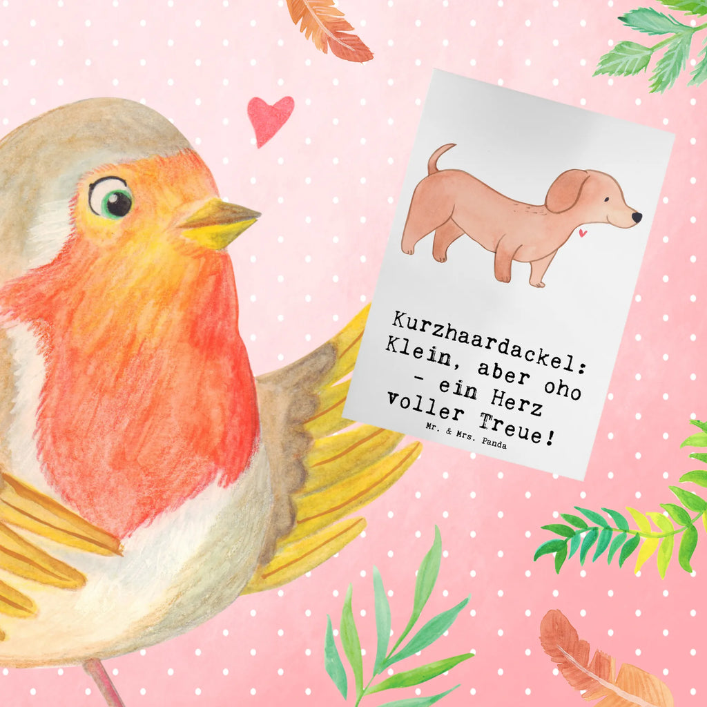 Greetings card Kurzhaardackel: Klein, aber oho - ein Herz voller Treue! Glückwunschkarte, Grußkarte, Geburtstagskarte, Klappkarte, Karte, Einladungskarte, Hochzeitskarte, Ansichtskarten, Hund, Hunderasse, Rassehund, Hundebesitzer, Geschenk, Tierfreund, Schenken, Welpe