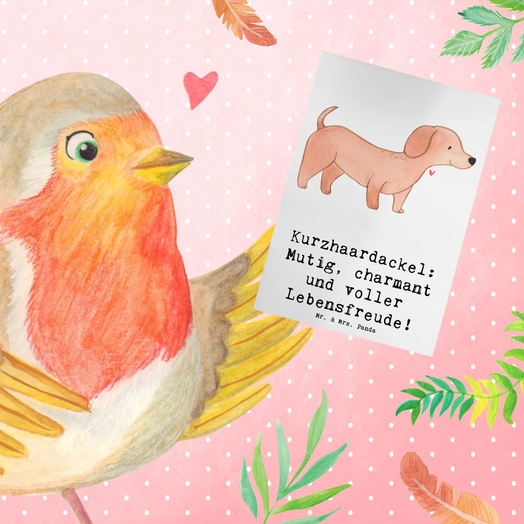 Greetings card Kurzhaardackel: Mutig, charmant und voller Lebensfreude! Klappkarte, Hochzeitskarte, Einladungskarte, Ansichtskarten, Geburtstagskarte, Grußkarte, Karte, Glückwunschkarte, Hund, Hunderasse, Rassehund, Hundebesitzer, Geschenk, Tierfreund, Schenken, Welpe