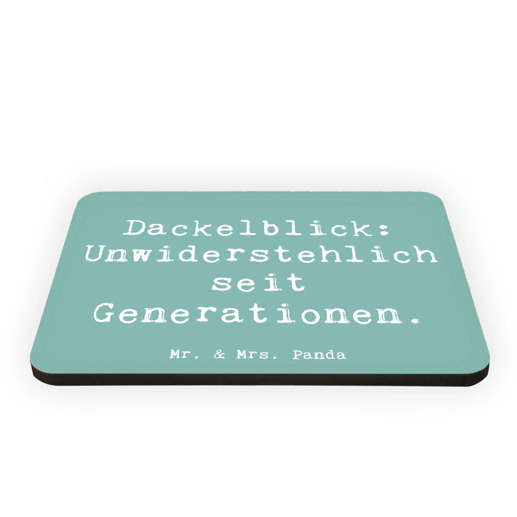 Magnet Spruch Kurzhaardackel Dackelblick Motivmagnete, Notiz Magnet, Kühlschrank Dekoration, Whiteboard Magnet, Souvenir Magnet, Dekomagnet, Kühlschrankmagnet, Pinnwandmagnet, Hund, Hunderasse, Rassehund, Hundebesitzer, Geschenk, Tierfreund, Schenken, Welpe