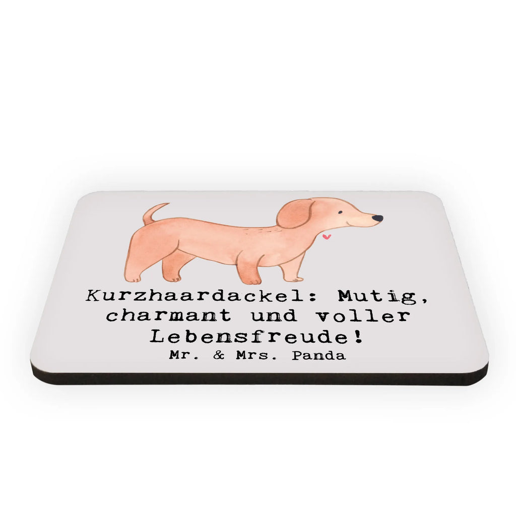 Magnet Mutiger Dackel Whiteboard Magnet, Kühlschrank Dekoration, Notiz Magnet, Kühlschrankmagnet, Souvenir Magnet, Motivmagnete, Pinnwandmagnet, Dekomagnet, Hund, Hunderasse, Rassehund, Hundebesitzer, Geschenk, Tierfreund, Schenken, Welpe