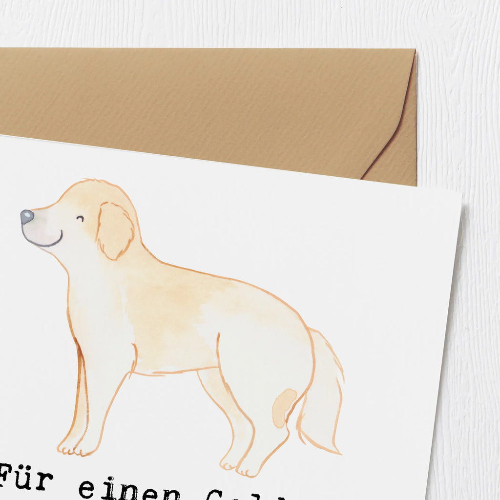 Deluxe Karte Golden Retriever Abenteuer Grußkarte, Karte, Hochwertige Klappkarte, Einladungskarte, Hochzeitskarte, Hochwertige Grußkarte, Klappkarte, Geburtstagskarte, Glückwunschkarte, Hund, Hunderasse, Rassehund, Hundebesitzer, Geschenk, Tierfreund, Schenken, Welpe