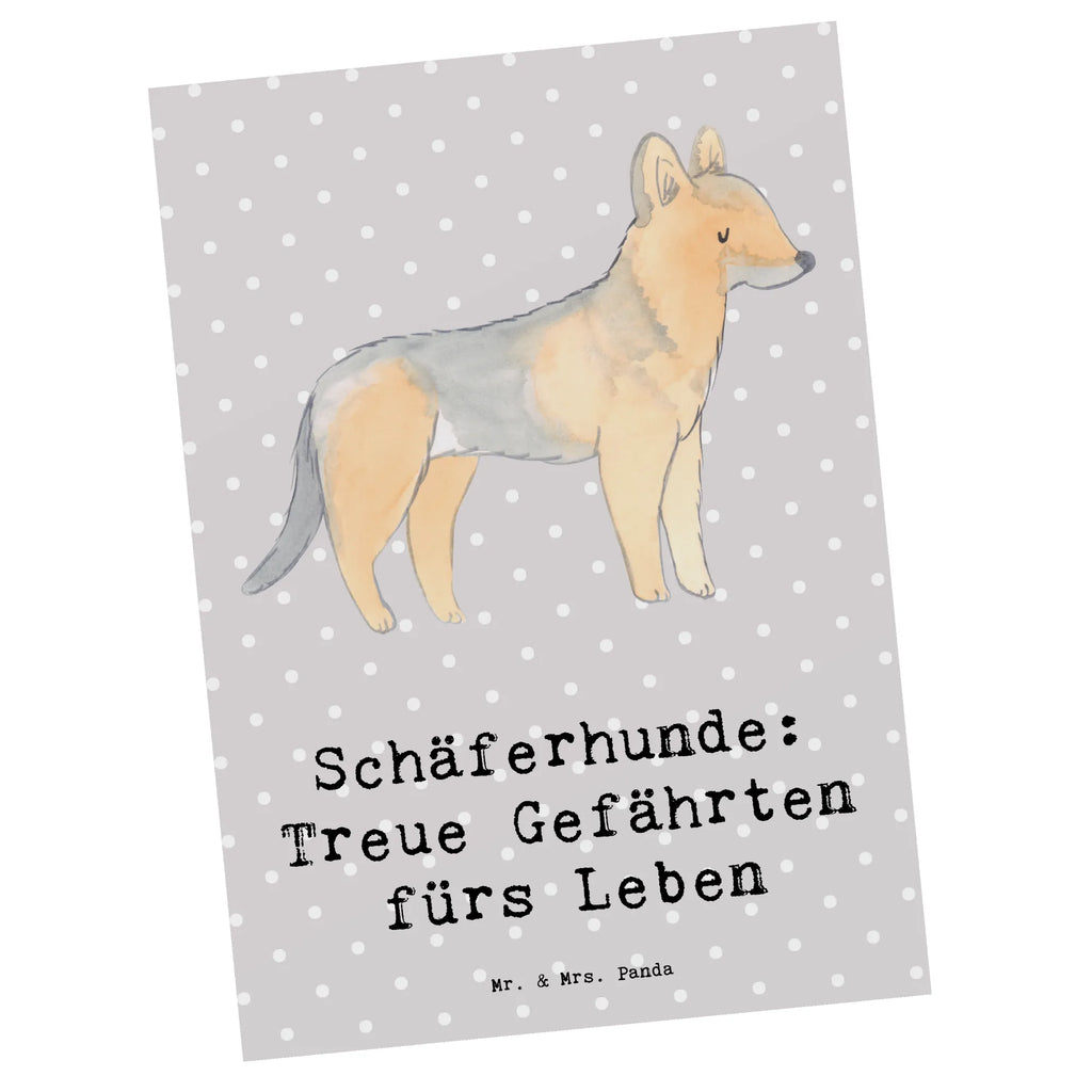 Postkarte Schäferhund Gefährten bildkarte, Motivkarte, Ansichtskarte, Postkarte, Kunstkarten, Grußkarte, kunstkarte, Ansichtskarten, einzelkarte, Postkarten, Fotokarte, Designkarte, spruchkarte, Geschenk, Schenken, Hund, Hunderasse, Rassehund, Hundebesitzer, Tierfreund, Welpe