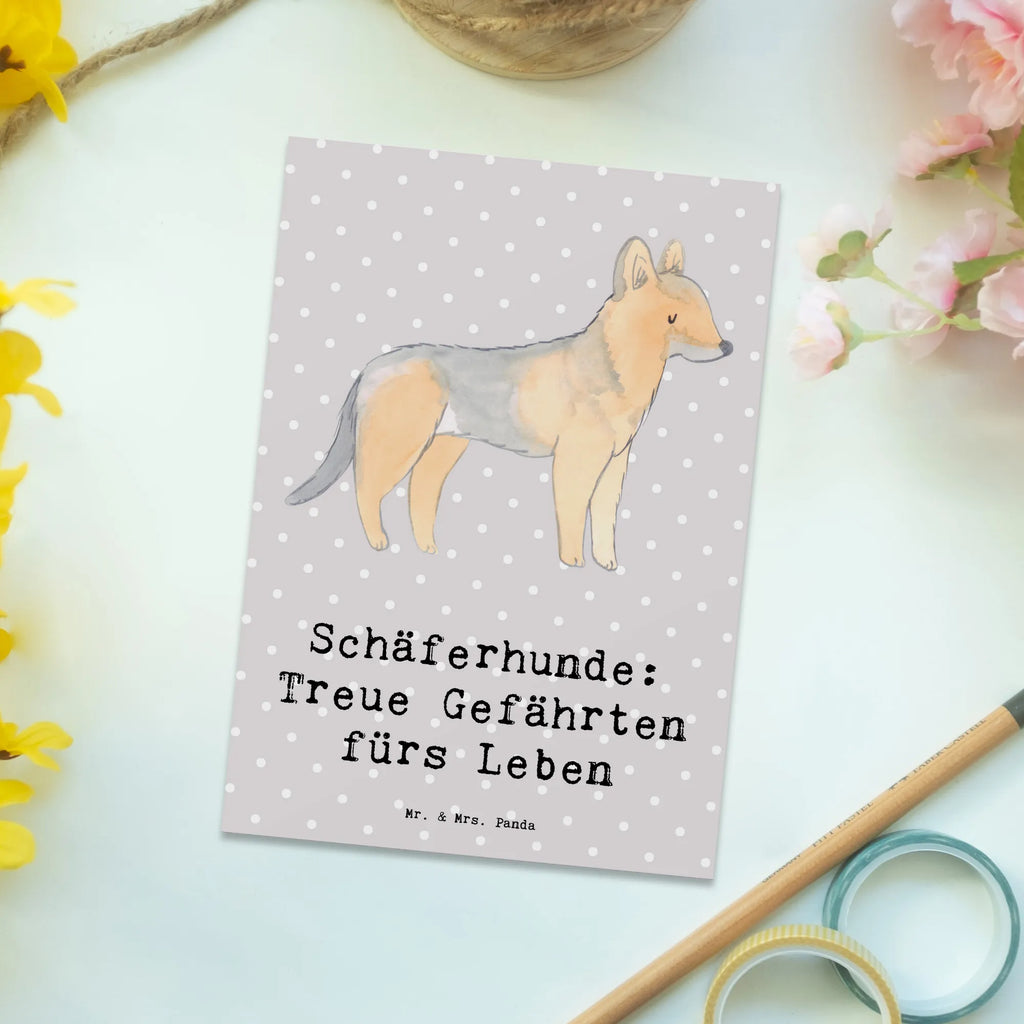 Postkarte Schäferhund Gefährten bildkarte, Motivkarte, Ansichtskarte, Postkarte, Kunstkarten, Grußkarte, kunstkarte, Ansichtskarten, einzelkarte, Postkarten, Fotokarte, Designkarte, spruchkarte, Geschenk, Schenken, Hund, Hunderasse, Rassehund, Hundebesitzer, Tierfreund, Welpe
