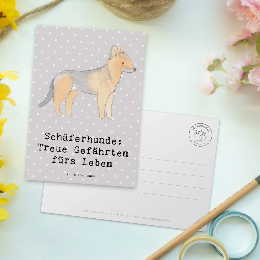 Postkarte Schäferhund Gefährten bildkarte, Motivkarte, Ansichtskarte, Postkarte, Kunstkarten, Grußkarte, kunstkarte, Ansichtskarten, einzelkarte, Postkarten, Fotokarte, Designkarte, spruchkarte, Geschenk, Schenken, Hund, Hunderasse, Rassehund, Hundebesitzer, Tierfreund, Welpe