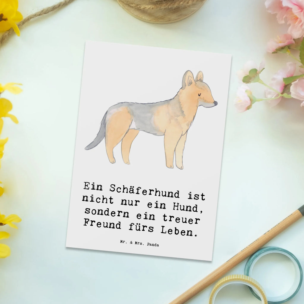 Postkarte Schäferhund Freund Dankeskarte, Ansichtskarten, Geburtstagskarte, Ansichtskarte, Geschenkkarte, Einladungskarten Geburtstag, Karte, Einladung, Einladung Geburtstag, Postkarte, Grußkarte, Einladungskarte, Hund, Hunderasse, Rassehund, Hundebesitzer, Geschenk, Tierfreund, Schenken, Welpe