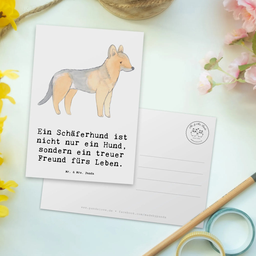 Postkarte Schäferhund Freund Dankeskarte, Ansichtskarten, Geburtstagskarte, Ansichtskarte, Geschenkkarte, Einladungskarten Geburtstag, Karte, Einladung, Einladung Geburtstag, Postkarte, Grußkarte, Einladungskarte, Hund, Hunderasse, Rassehund, Hundebesitzer, Geschenk, Tierfreund, Schenken, Welpe