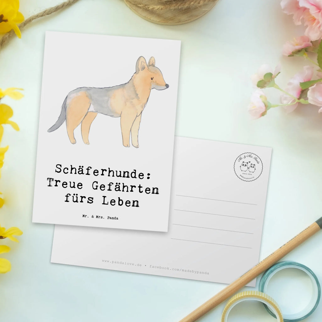 Postkarte Schäferhund Gefährten bildkarte, Motivkarte, Ansichtskarte, Postkarte, Kunstkarten, Grußkarte, kunstkarte, Ansichtskarten, einzelkarte, Postkarten, Fotokarte, Designkarte, spruchkarte, Geschenk, Schenken, Hund, Hunderasse, Rassehund, Hundebesitzer, Tierfreund, Welpe