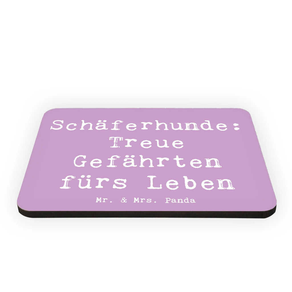 Magnet Spruch Schäferhund Gefährten Souvenir Magnet, Dekomagnet, Whiteboard Magnet, Motivmagnete, Pinnwandmagnet, Notiz Magnet, Kühlschrank Dekoration, Kühlschrankmagnet, Hund, Hunderasse, Rassehund, Hundebesitzer, Geschenk, Tierfreund, Schenken, Welpe
