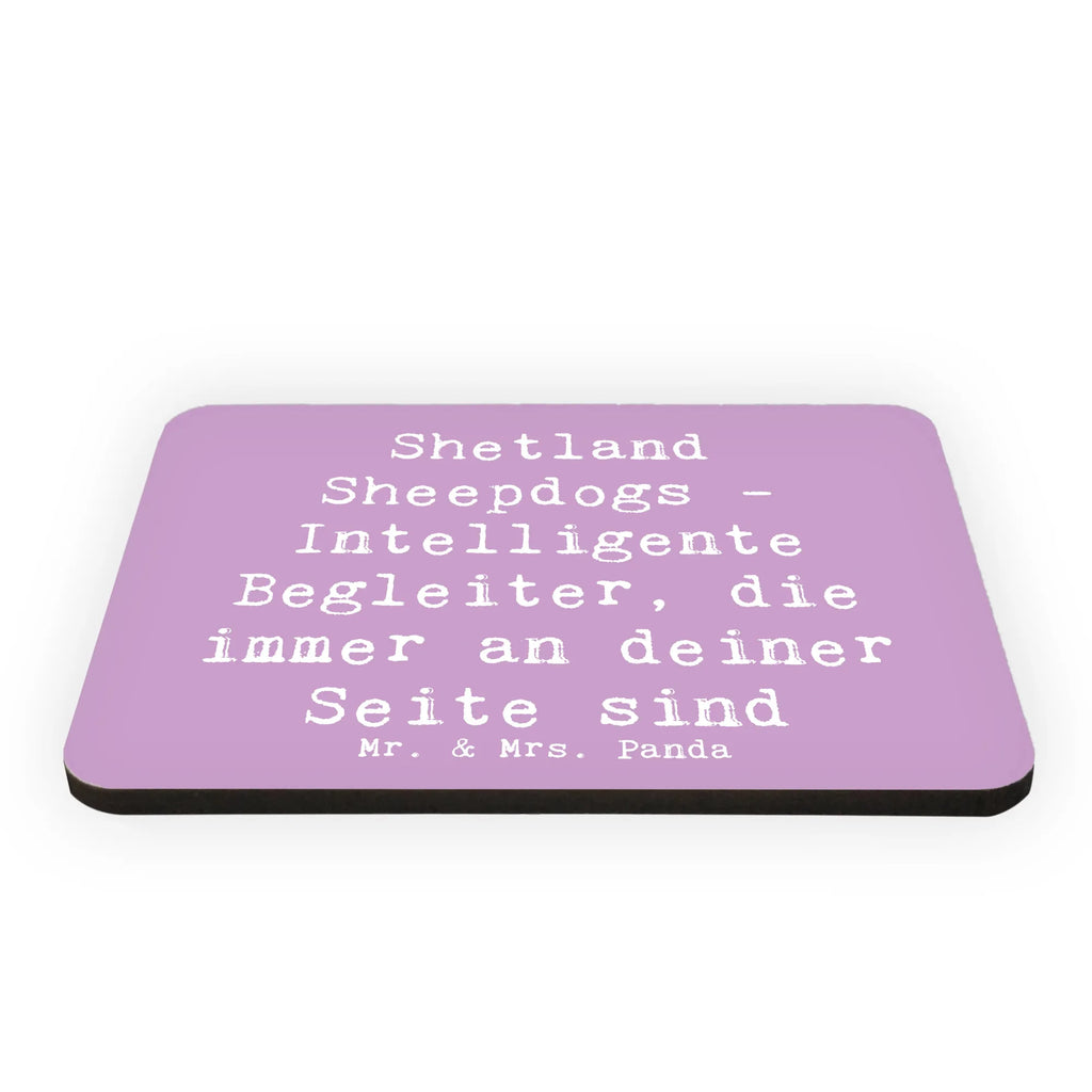 Magnet Saying Shetland Sheepdogs - Intelligente Begleiter, die immer an deiner Seite sind Dekomagnet, Motivmagnete, Kühlschrank Dekoration, Souvenir Magnet, Notiz Magnet, Kühlschrankmagnet, Pinnwandmagnet, Whiteboard Magnet, Hund, Hunderasse, Rassehund, Hundebesitzer, Geschenk, Tierfreund, Schenken, Welpe