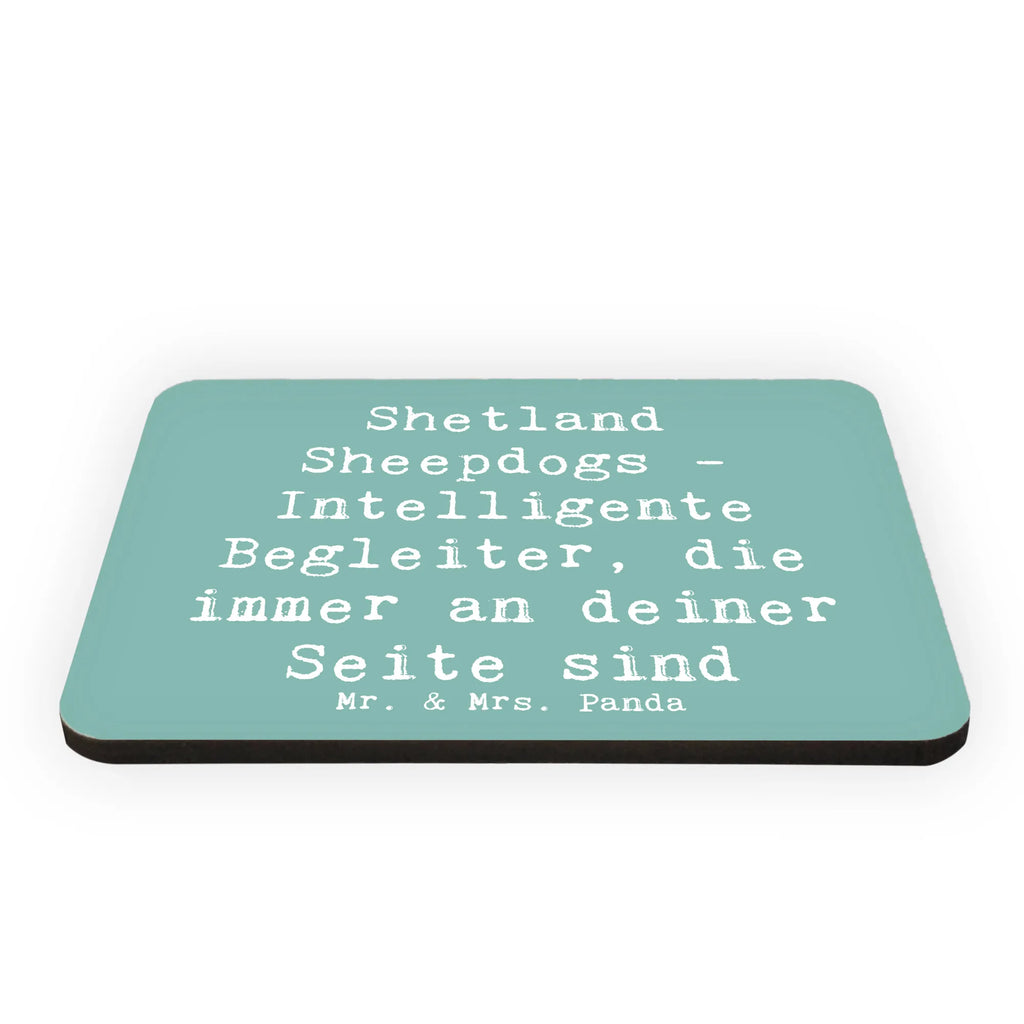 Magnet Saying Shetland Sheepdogs - Intelligente Begleiter, die immer an deiner Seite sind Dekomagnet, Motivmagnete, Kühlschrank Dekoration, Souvenir Magnet, Notiz Magnet, Kühlschrankmagnet, Pinnwandmagnet, Whiteboard Magnet, Hund, Hunderasse, Rassehund, Hundebesitzer, Geschenk, Tierfreund, Schenken, Welpe