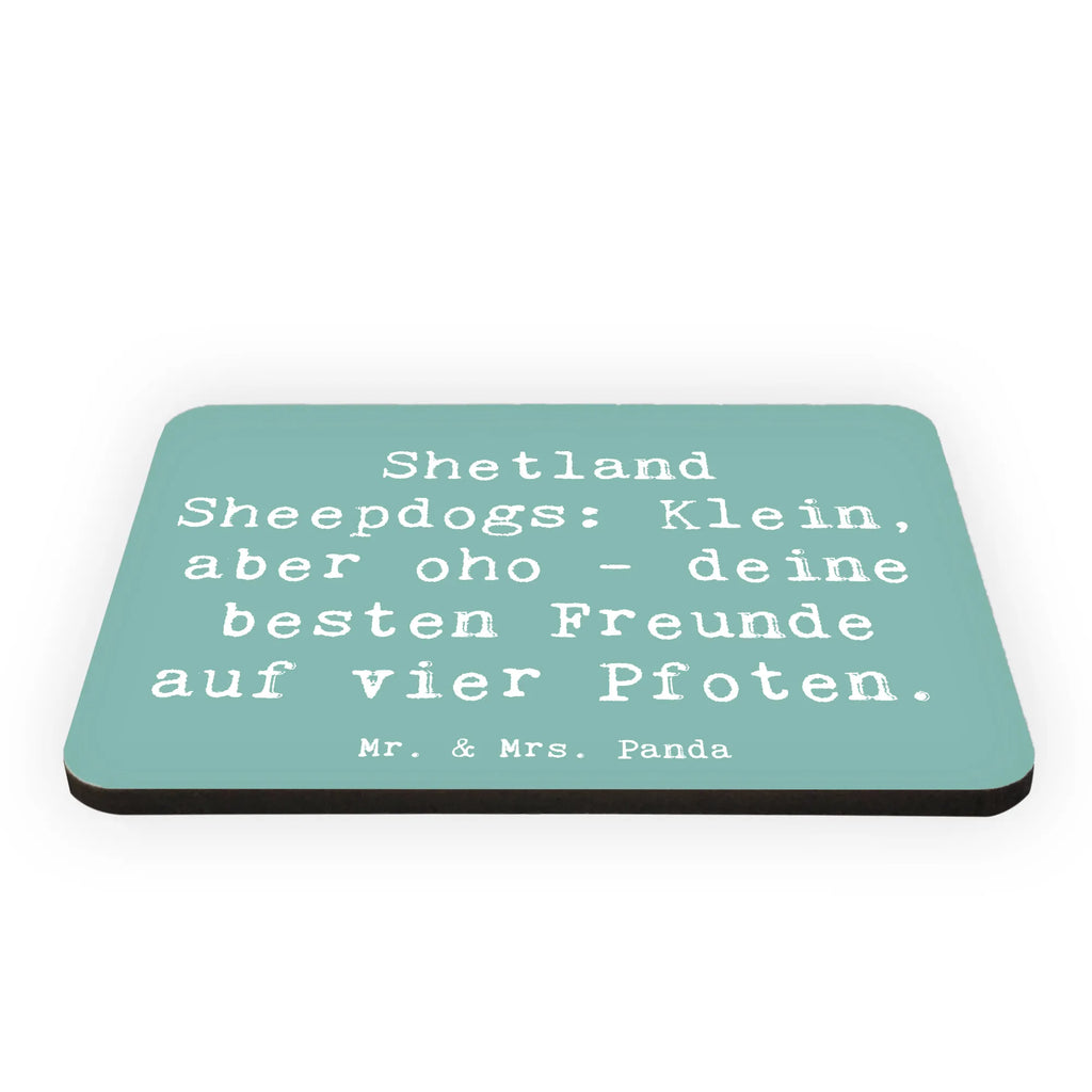 Magnet Saying Shetland Sheepdogs: Klein, aber oho - deine besten Freunde auf vier Pfoten. Notiz Magnet, Pinnwandmagnet, Dekomagnet, Kühlschrankmagnet, Kühlschrank Dekoration, Whiteboard Magnet, Motivmagnete, Souvenir Magnet, Hund, Hunderasse, Rassehund, Hundebesitzer, Geschenk, Tierfreund, Schenken, Welpe
