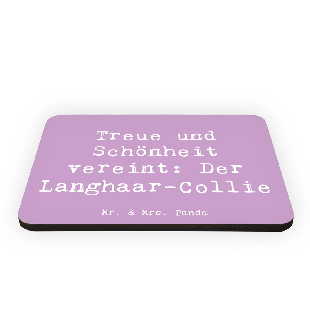 Magnet Saying Treue und Schönheit vereint: Der Langhaar-Collie Kühlschrank Dekoration, Pinnwandmagnet, Notiz Magnet, Whiteboard Magnet, Kühlschrankmagnet, Dekomagnet, Souvenir Magnet, Motivmagnete, Hund, Hunderasse, Rassehund, Hundebesitzer, Geschenk, Tierfreund, Schenken, Welpe