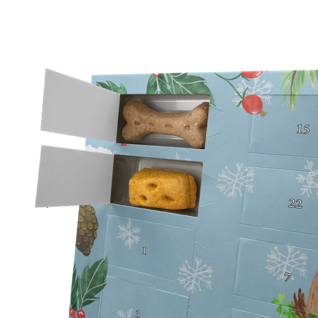 Dog advent calendar Dog shamrock Pets, Dogs Advent Calendar, dog breed, hound, bag with dog print, mutt, what do you give a dog lover, dog mama, Christmas gifts for dogs, dog decorative items, funny gifts for dog owners, dog sayings, love dogs, woof, love for dogs, gifts for dogs, cloverleaf, mindfulness, gift, lucky charm, self-love, new beginning