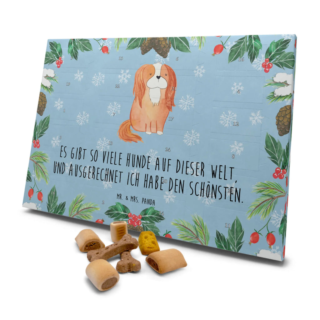 Hunde Adventskalender Hund Cavalier King Charles Spaniel Kalender, Weihnachtskalender, Hunde Adventskalender, Adventskalender für Hunde, Hunderasse, Tierliebhaber, Hundemotiv, Haustier, Hundebesitzer, Hund, Sprüche, Spruch, Schönster Hund, Cockerspaniel, Spaniel, Cavalier King Charles Spaniel