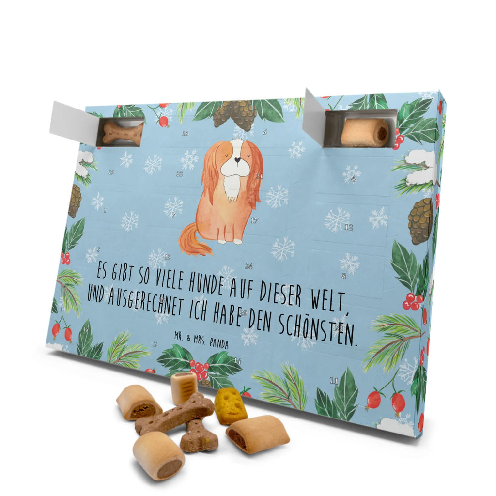 Hunde Adventskalender Hund Cavalier King Charles Spaniel Kalender, Weihnachtskalender, Hunde Adventskalender, Adventskalender für Hunde, Hunderasse, Tierliebhaber, Hundemotiv, Haustier, Hundebesitzer, Hund, Sprüche, Spruch, Schönster Hund, Cockerspaniel, Spaniel, Cavalier King Charles Spaniel