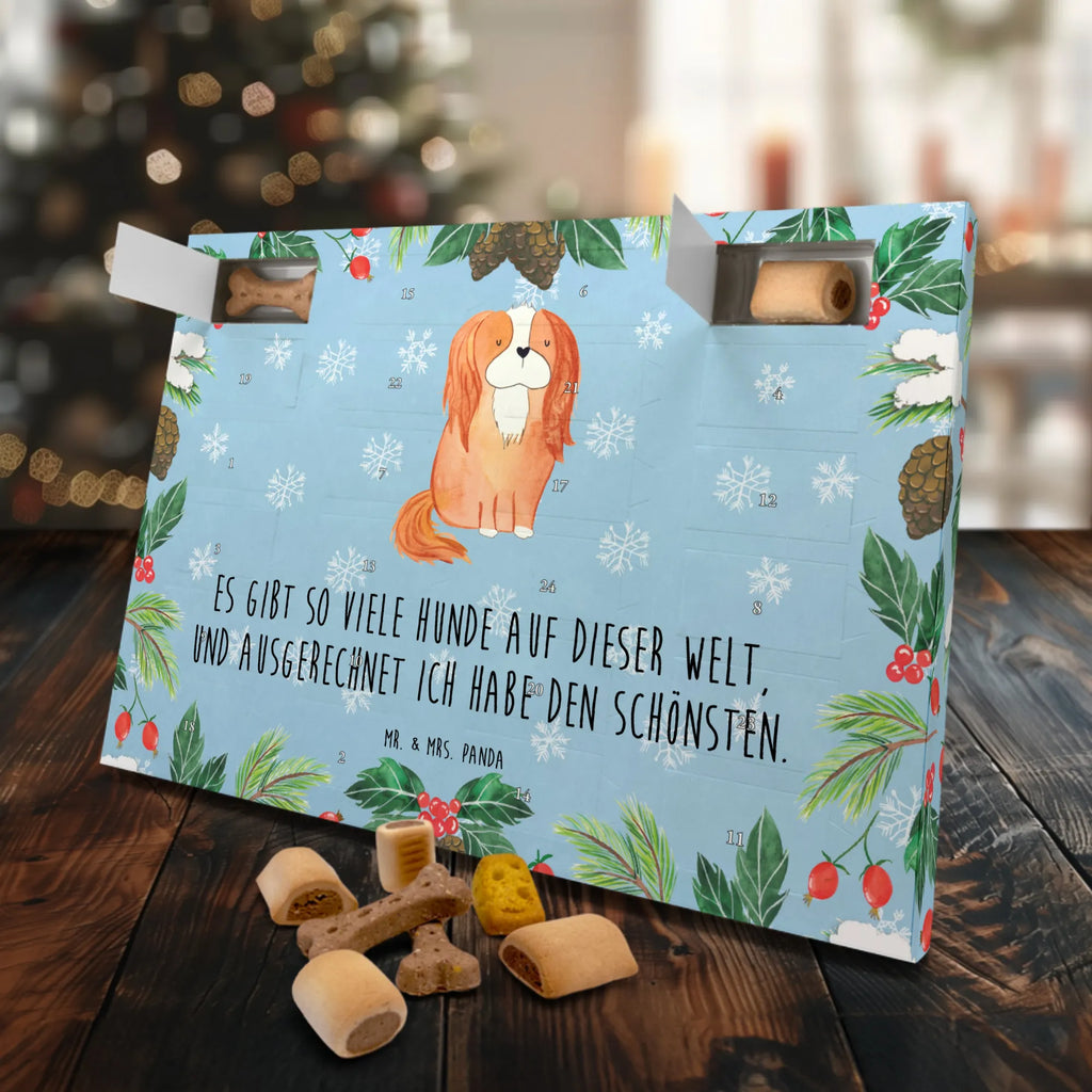 Hunde Adventskalender Hund Cavalier King Charles Spaniel Kalender, Weihnachtskalender, Hunde Adventskalender, Adventskalender für Hunde, Hunderasse, Tierliebhaber, Hundemotiv, Haustier, Hundebesitzer, Hund, Sprüche, Spruch, Schönster Hund, Cockerspaniel, Spaniel, Cavalier King Charles Spaniel