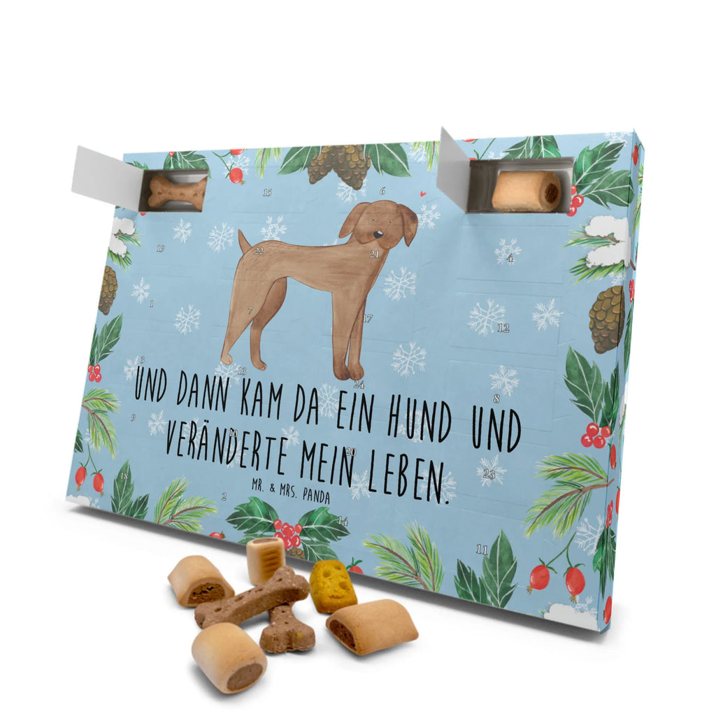Dog advent calendar Dog mastiff Dogs Advent Calendar, Pets, dog breed, hound, bag with dog print, mutt, what do you give a dog lover, dog mama, Christmas gifts for dogs, dog decorative items, funny gifts for dog owners, dog sayings, love dogs, woof, love for dogs, gifts for dogs, Dogs