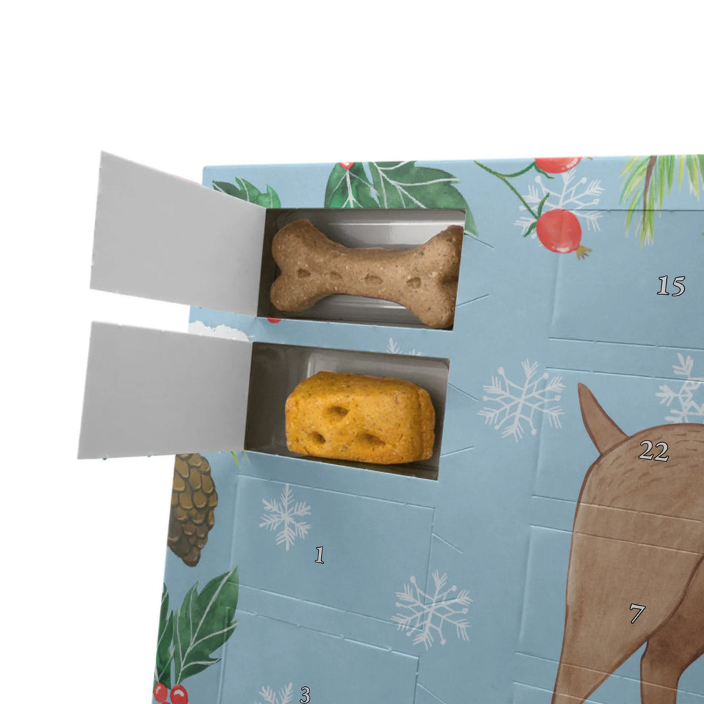 Dog advent calendar Dog mastiff Dogs Advent Calendar, Pets, dog breed, hound, bag with dog print, mutt, what do you give a dog lover, dog mama, Christmas gifts for dogs, dog decorative items, funny gifts for dog owners, dog sayings, love dogs, woof, love for dogs, gifts for dogs, Dogs