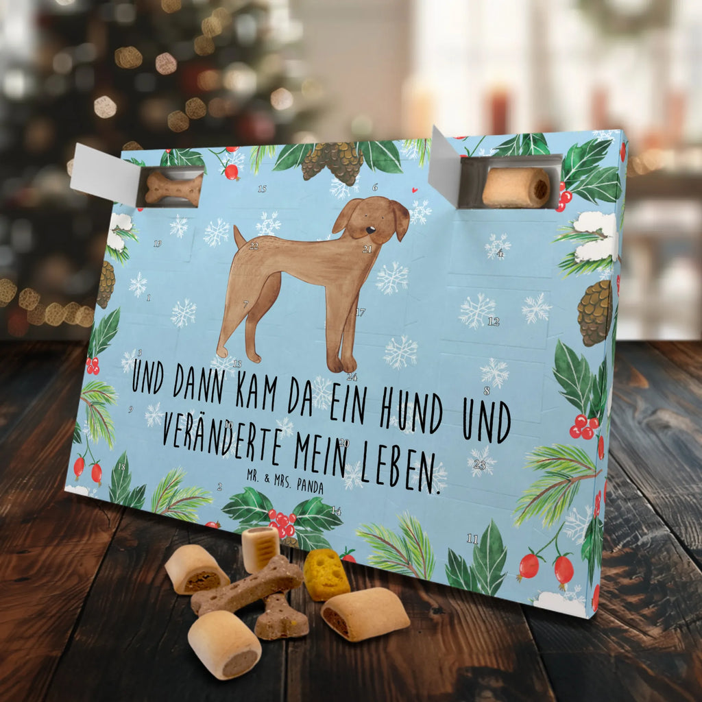 Dog advent calendar Dog mastiff Dogs Advent Calendar, Pets, dog breed, hound, bag with dog print, mutt, what do you give a dog lover, dog mama, Christmas gifts for dogs, dog decorative items, funny gifts for dog owners, dog sayings, love dogs, woof, love for dogs, gifts for dogs, Dogs