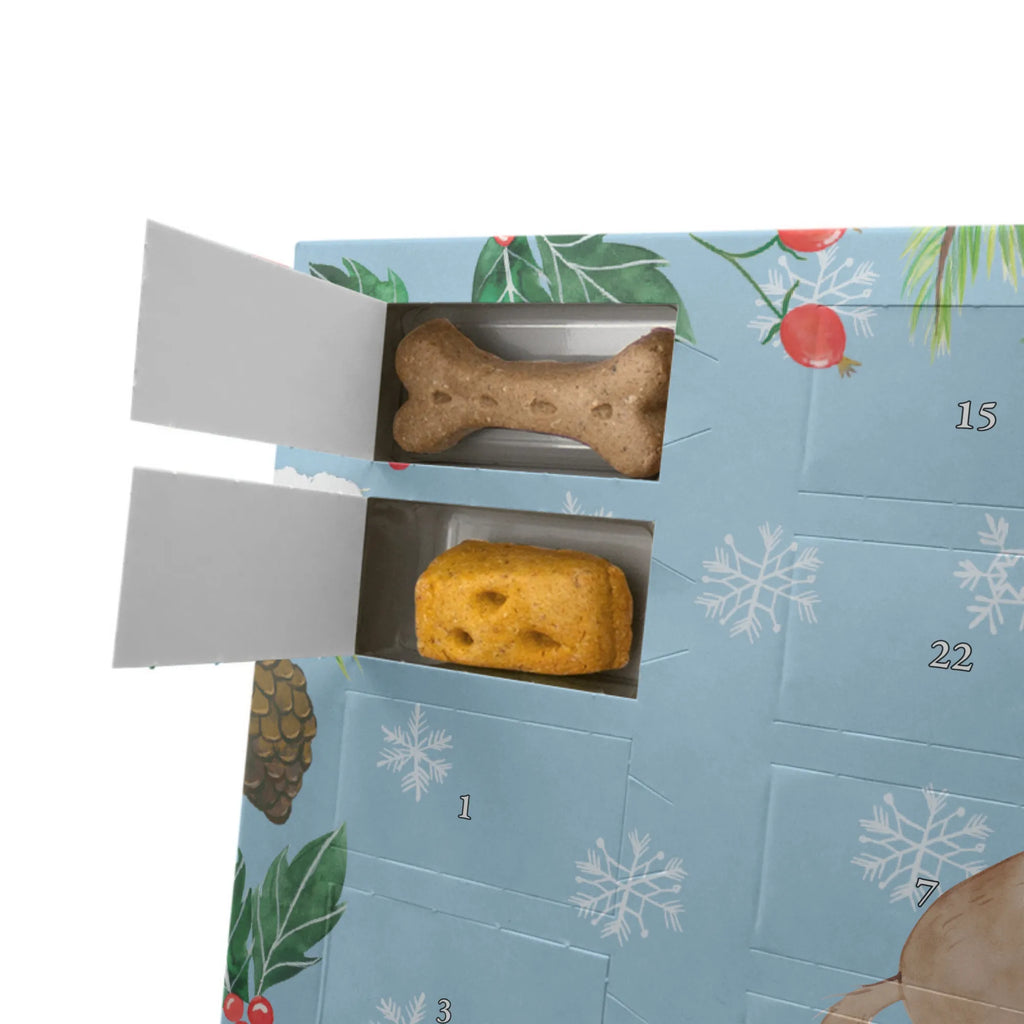 Hunde Adventskalender Hunde Liebe Kalender, Hunde Adventskalender, Weihnachtskalender, Adventskalender für Hunde, Hunderasse, Tierliebhaber, Hundemotiv, Haustier, Hundebesitzer, Hund, Sprüche, Kuscheln, Vertrauen, Kuss, Hund. Hunde, Herz, Liebe