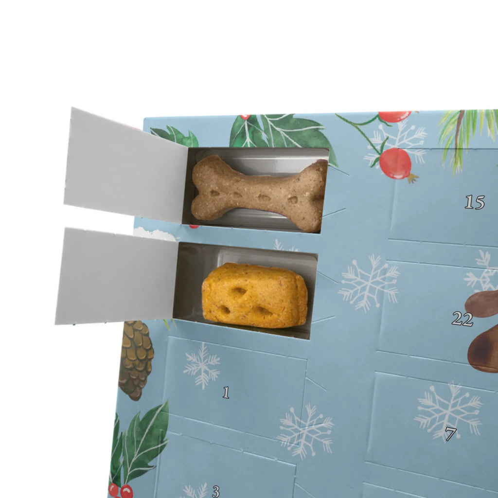 Dog advent calendar Dog biscuit Dogs Advent Calendar, Pets, dog breed, hound, bag with dog print, mutt, what do you give a dog lover, dog mama, Christmas gifts for dogs, dog decorative items, funny gifts for dog owners, dog sayings, love dogs, woof, love for dogs, gifts for dogs, dog treats, treats, dog snacks, dog biscuits