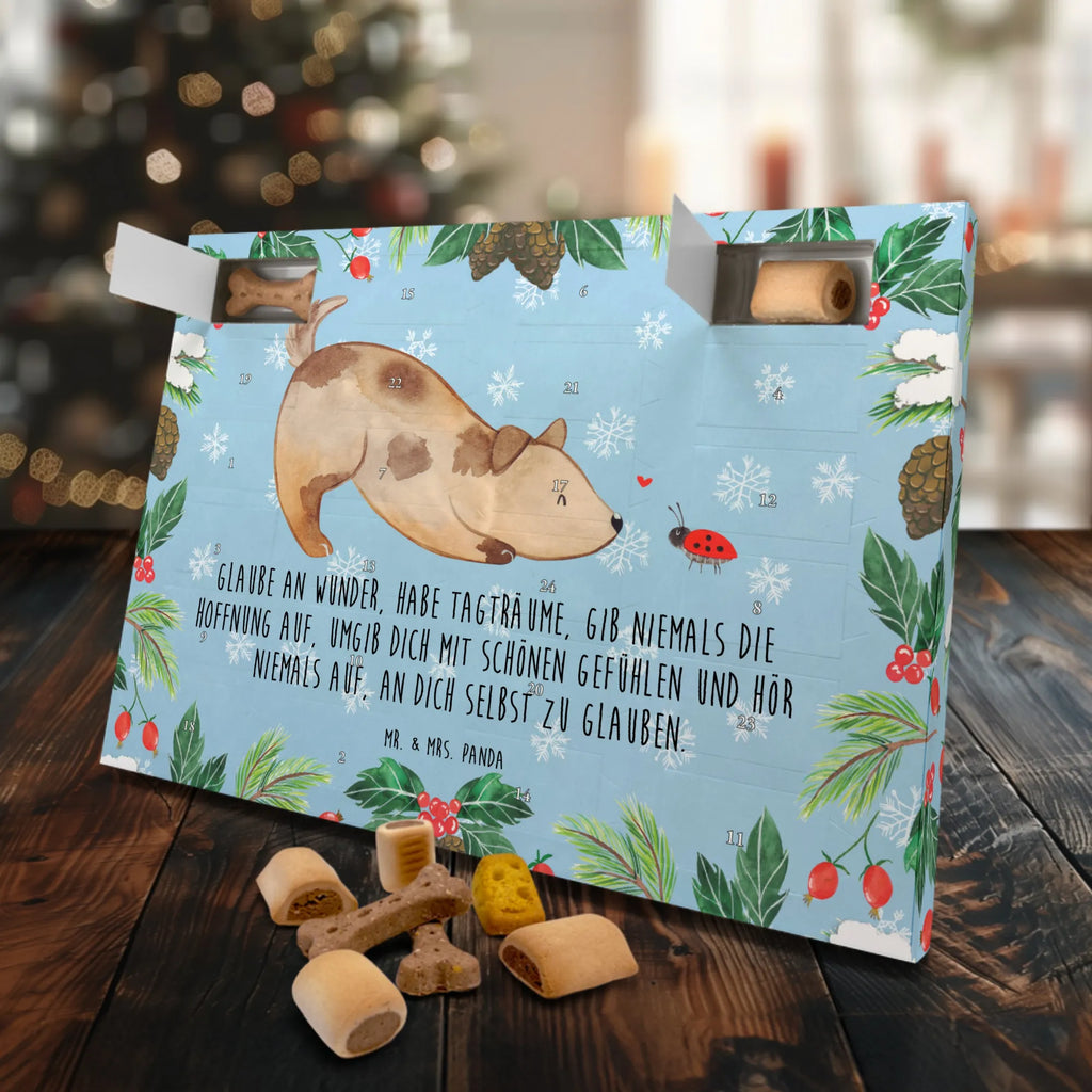 Dog advent calendar Dog ladybug Dogs Advent Calendar, Pets, dog breed, hound, bag with dog print, mutt, what do you give a dog lover, dog mama, Christmas gifts for dogs, dog decorative items, funny gifts for dog owners, dog sayings, love dogs, woof, love for dogs, gifts for dogs, Dog slogan, Mongrel dog, Dogs, Sayings, Ladybird, Mongrel