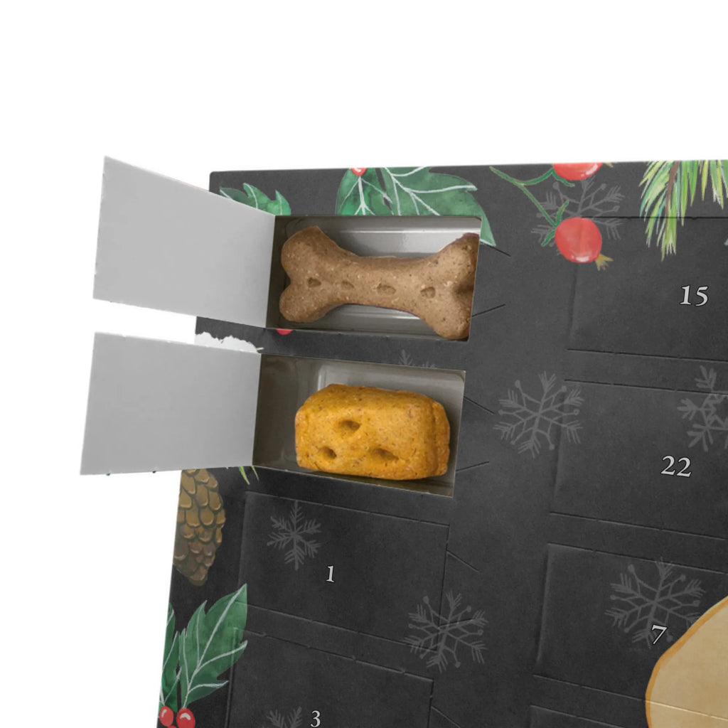 Personalisierter Hunde Adventskalender Corgie Hunde Adventskalender, Hunderasse, Tierliebhaber, Hundemotiv, Haustier, Hundebesitzer, Hund, Sprüche, Motivation, Lebensfreude, Welsh Corgie Pembroke, Corgie, Spruch, Hundespruch, Britisch