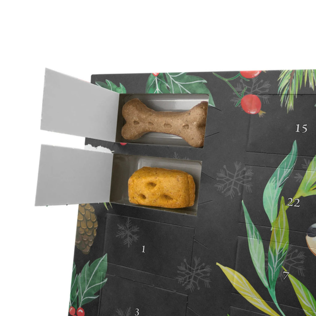  pies kwiaty Pies, właściciel psa, rasa psa, miłośnik zwierząt, zwierzę domowe, motyw psa, powiedzenia