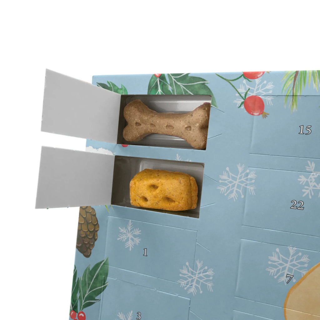 Personalisierter Hunde Adventskalender Corgie Hunde Adventskalender, Hunderasse, Tierliebhaber, Hundemotiv, Haustier, Hundebesitzer, Hund, Sprüche, Motivation, Lebensfreude, Welsh Corgie Pembroke, Corgie, Spruch, Hundespruch, Britisch