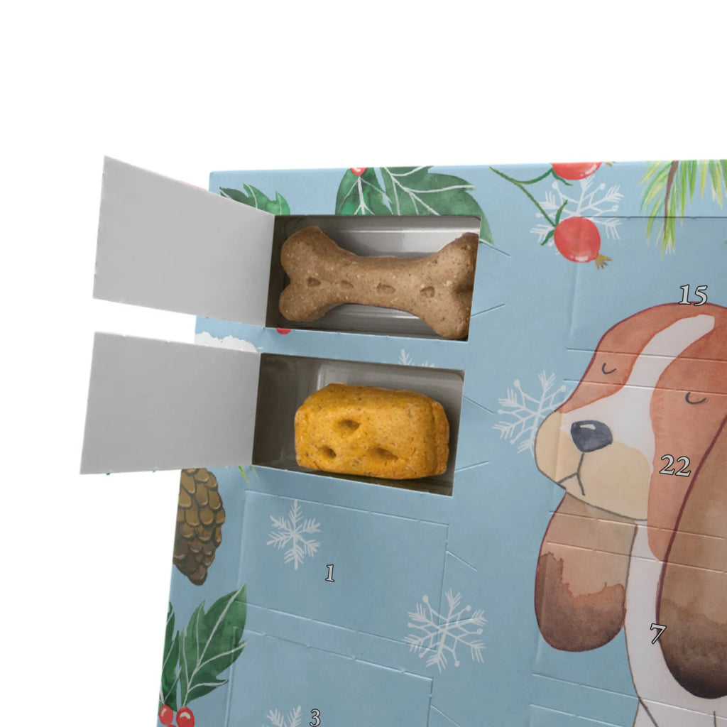 Personalisierter Hunde Adventskalender Hund Basset Hound Hunde Adventskalender, Hunderasse, Tierliebhaber, Hundemotiv, Haustier, Hundebesitzer, Hund, Sprüche, Hundeliebe, Basset Hound, Kinderlos, Basset