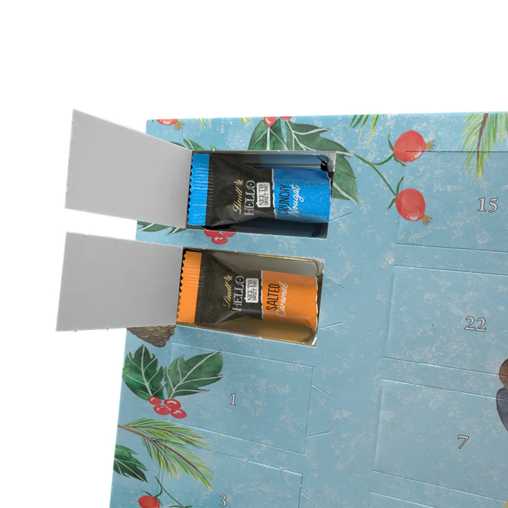 Chocolate advent calendar Penguin coconut North Pole, Penguins, vacation, penguins, coconut