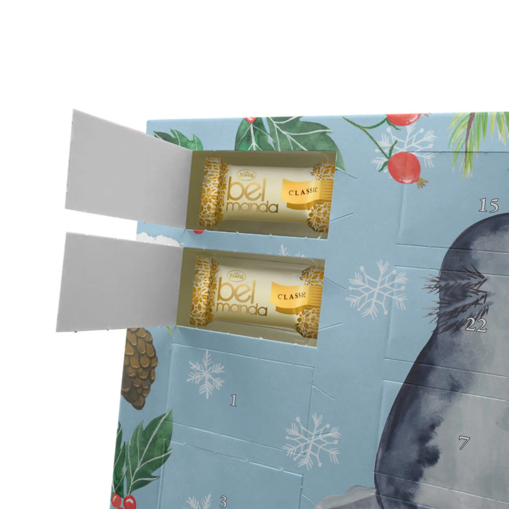 Personalisierter Marzipan Adventskalender Axolotl Liebe Personalisierter Marzipan Adventskalender, Axolotl, Molch, Valentinstag, Freund, Liebesbeweis, Jahrestag, Ehemann, Schwanzlurch, Lurche, Liebe, Axolot, Verlobter, Lurch, große Liebe