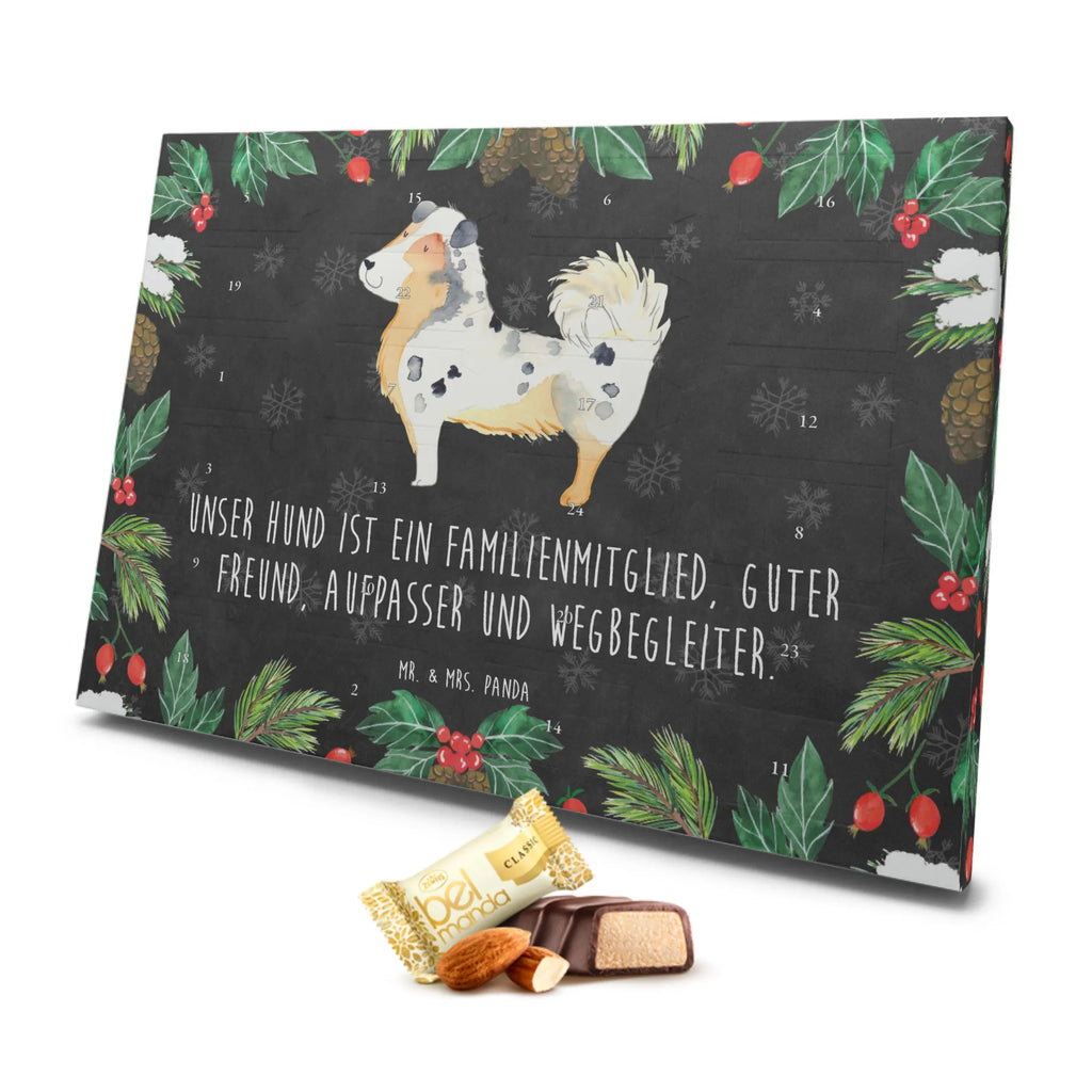 Marzipan Adventskalender Hund Australien Shepherd Marzipan Adventskalender, Hund, Hundemotiv, Haustier, Hunderasse, Tierliebhaber, Hundebesitzer, Sprüche, Familienhund, Australien Shepherd, Spruch, Shepherd, Hundeliebe
