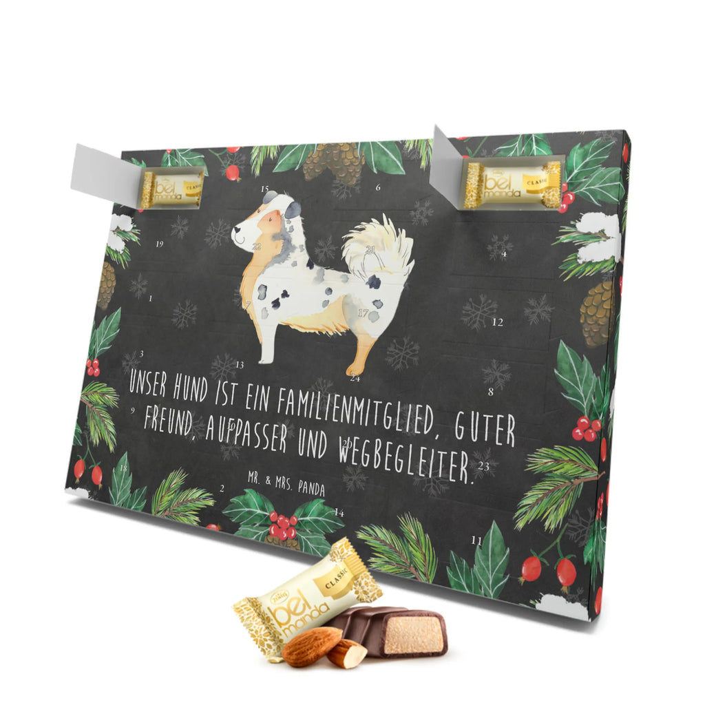 Marzipan Adventskalender Hund Australien Shepherd Marzipan Adventskalender, Hund, Hundemotiv, Haustier, Hunderasse, Tierliebhaber, Hundebesitzer, Sprüche, Familienhund, Australien Shepherd, Spruch, Shepherd, Hundeliebe